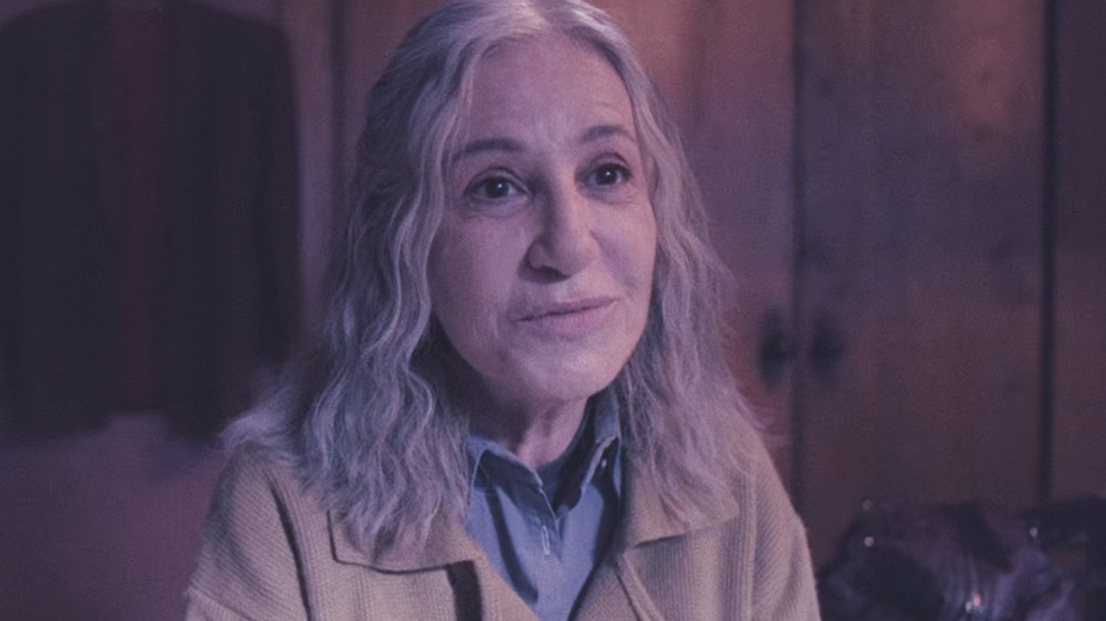 Stephen King, the master of horror and master recommender, is at it again with a suggestion of a Netflix horror miniseries that you should check out.