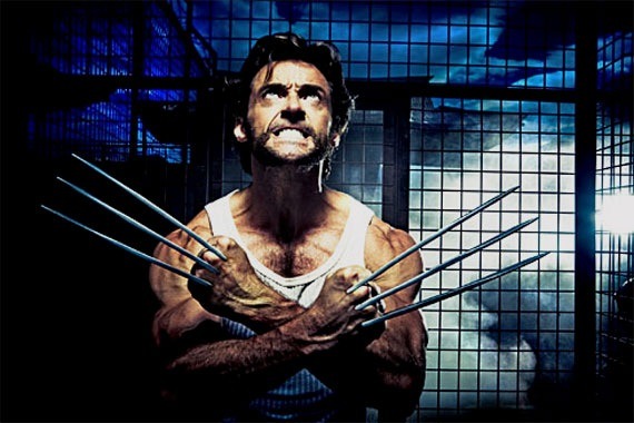 wolverine