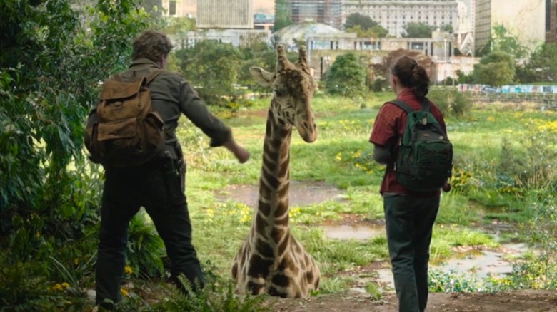 Pedro Pascal and Bella Ramsey in The Last of Us with the CG giraffe