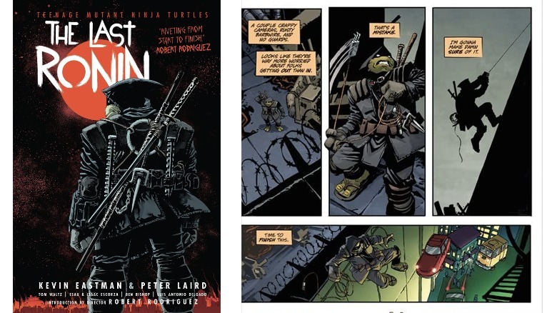 Teenage Mutant Ninja Turtles: The Last Ronin