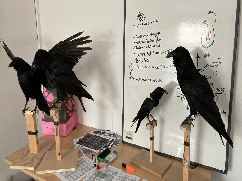 Raven models for Matthew and Jessamy