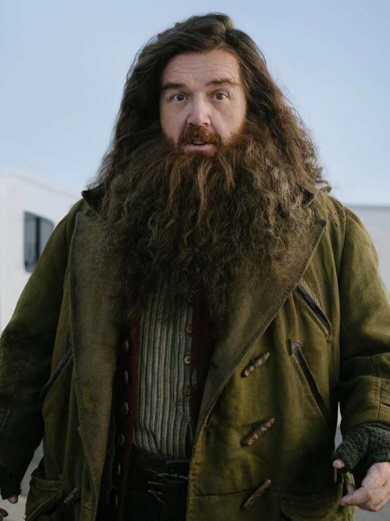 Nick Frost as Hagrid