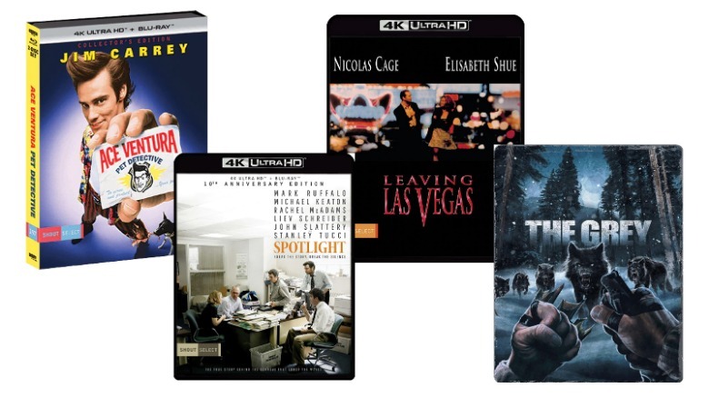 Ace Ventura: Pet Detective