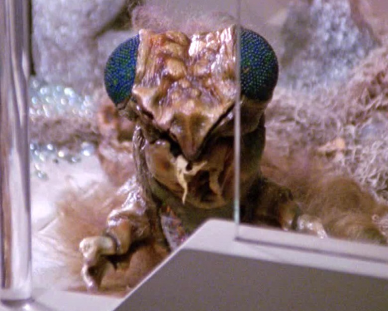 Star Trek: The Next Generation - a lapling