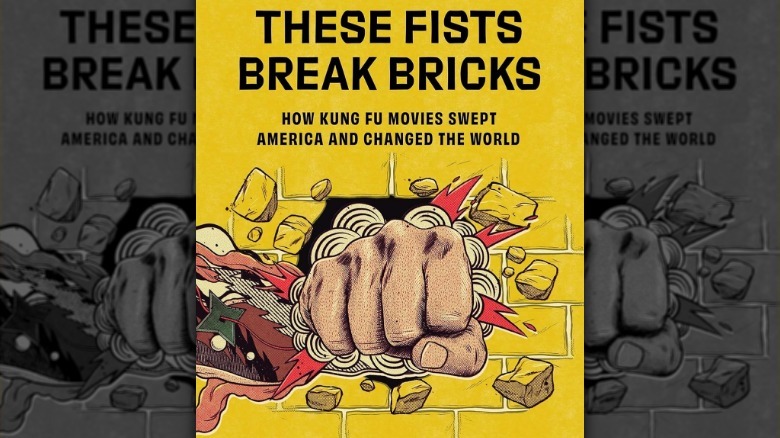 These Fist Break Bricks book cover