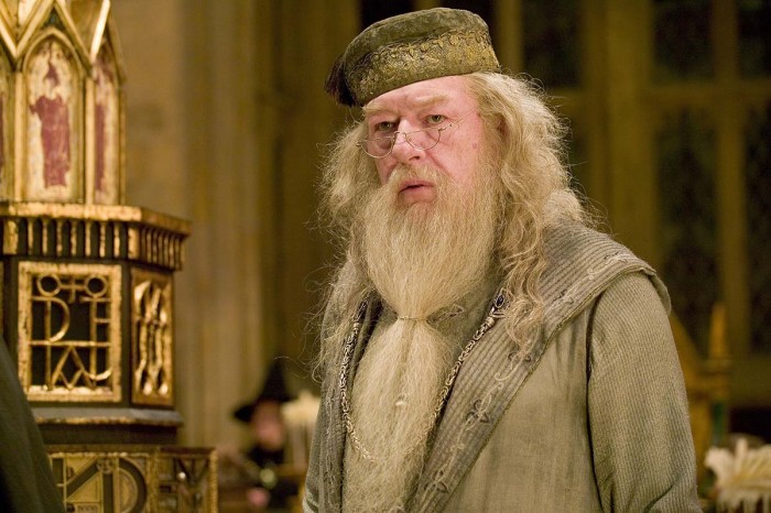 dumbledore theory