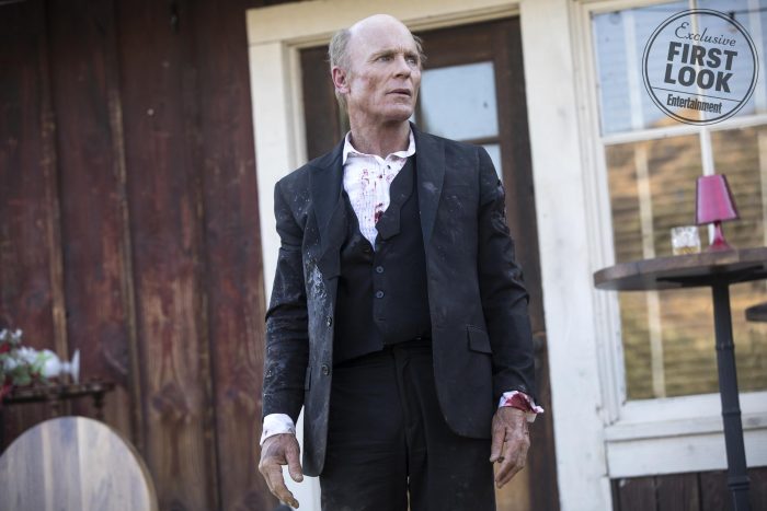 Westworld Ed Harris