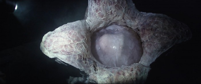 Alien Covenant Trailer Breakdown 24