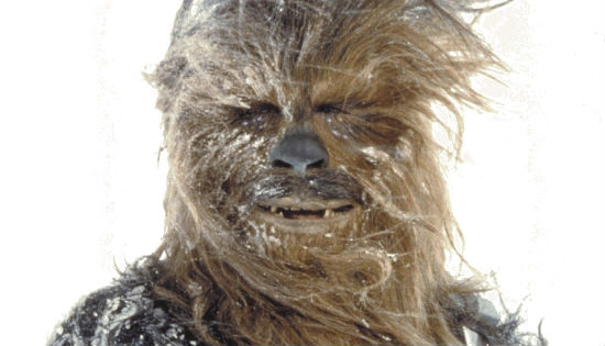 Chewbacca