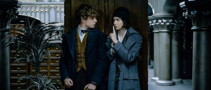 Fantastic Beasts and Where to Find Them