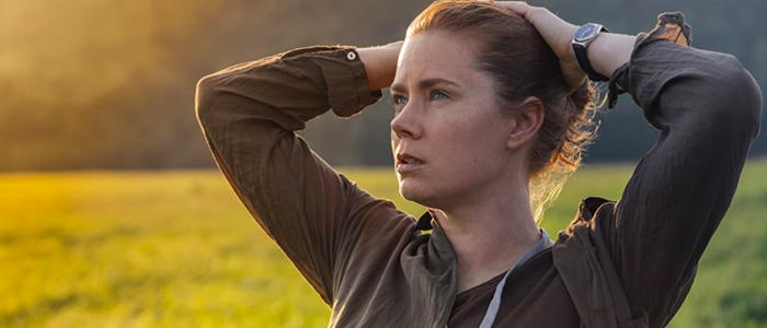 ‘Finding the Mother Tree’: Amy Adams to Play Scientist Who Discovered How Trees Communicate