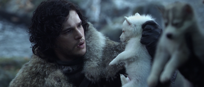 Game of Thrones - Jon Snow and Ghost