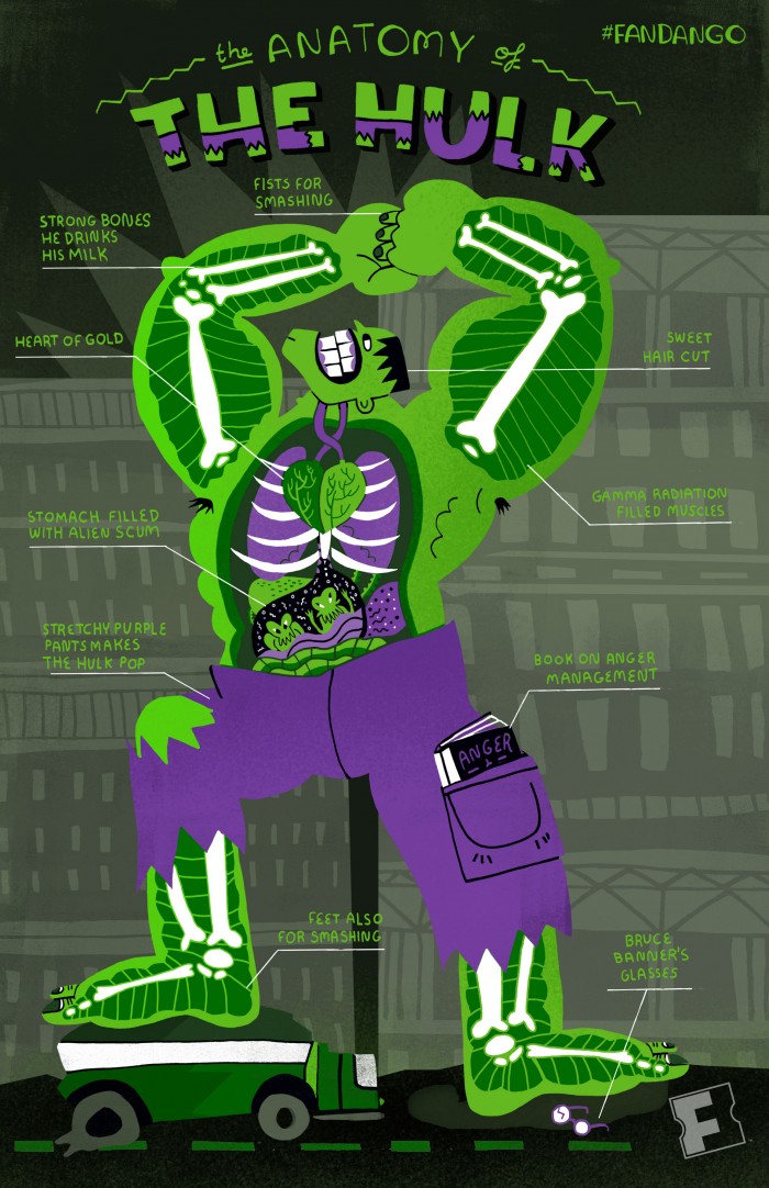 Hulk Anatomy