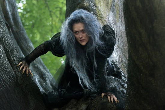 Into the Woods - Meryl Streep as the Witch