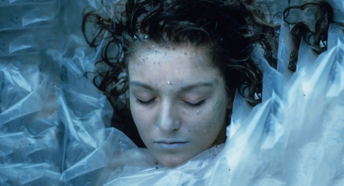 Laura Palmer plastic Twin Peaks