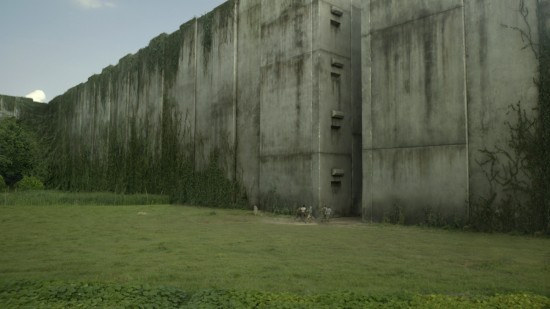 The Maze Runner