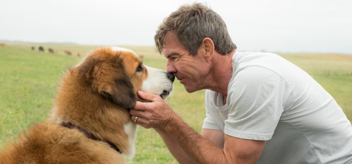 A Dog's Purpose