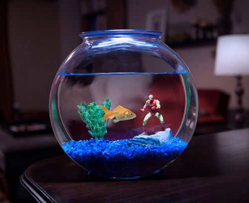 Marvel Aquarium