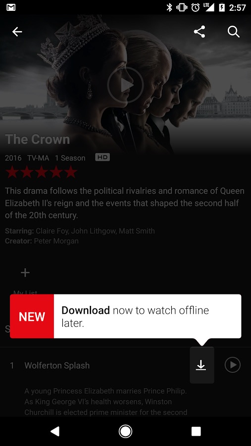 Netflix offline mode
