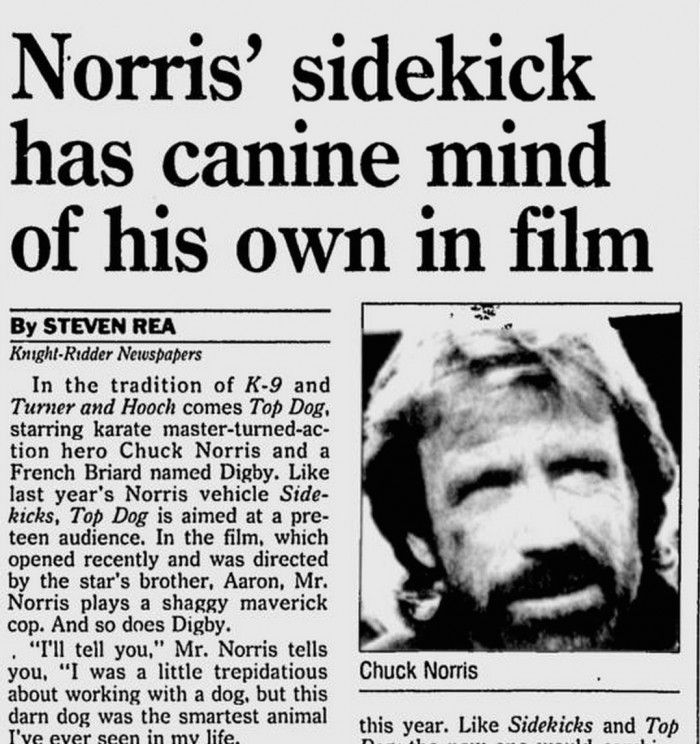 Norris' Sidekick has canine mind of his own in film