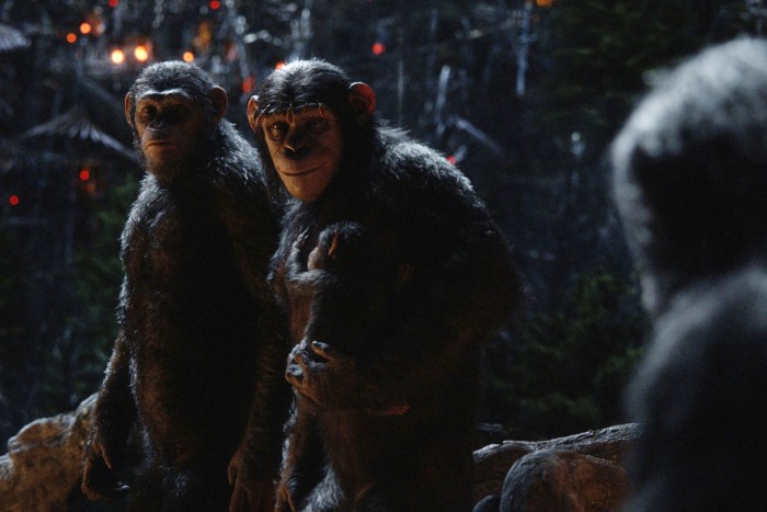 Planet of the Apes Judy Greer