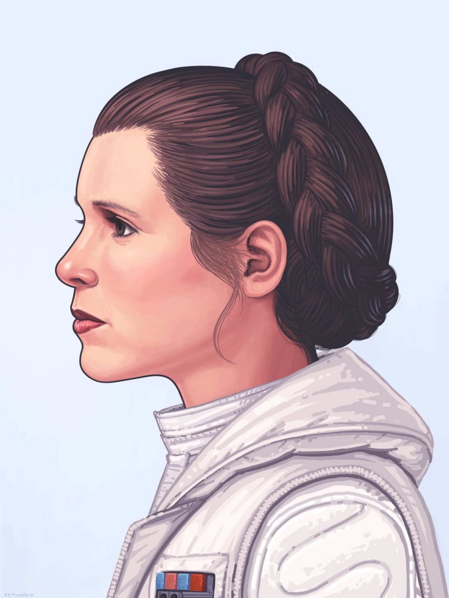 star wars princess leia 1999 portrait edition