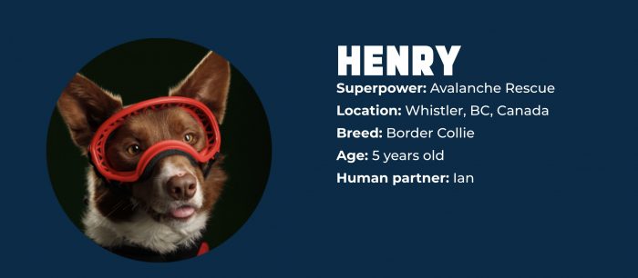 Superpower Dogs Henry