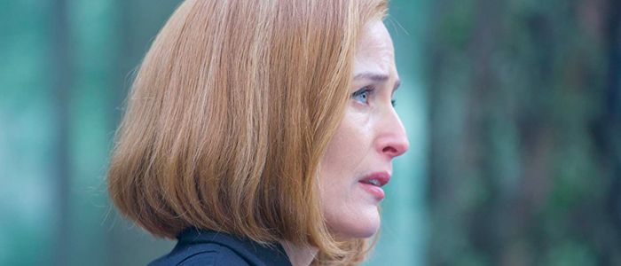 Gillian Anderson Joins Showtime's The First Lady Cast – /Film - Vimarsana News
