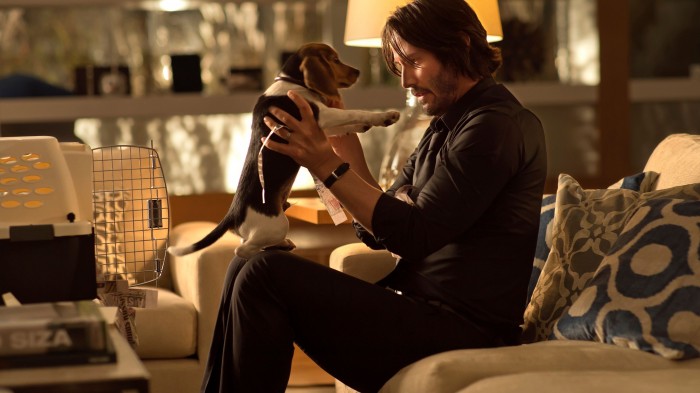 John Wick's Beagle