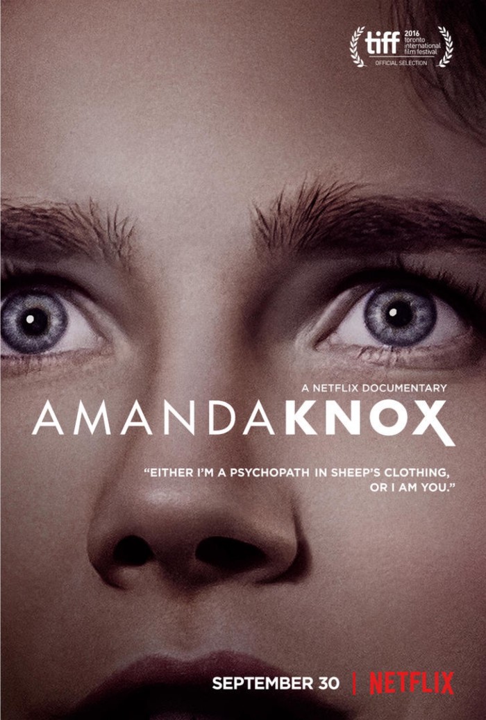 Amanda Knox key art poster