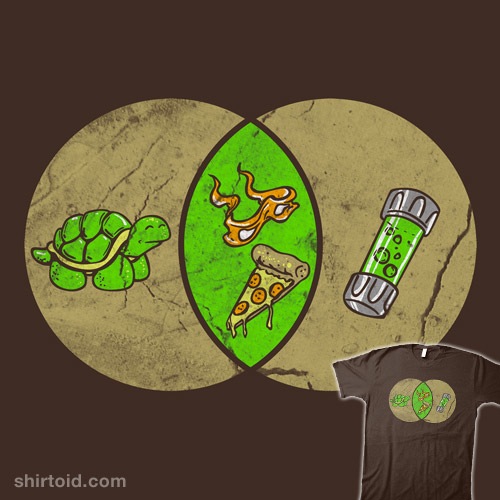 Turtle Diagram t-shirt