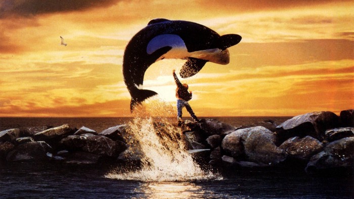 Free Willy