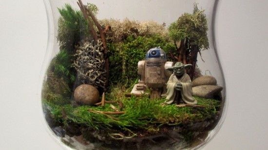 DIY STAR WARS TERRARIUM 