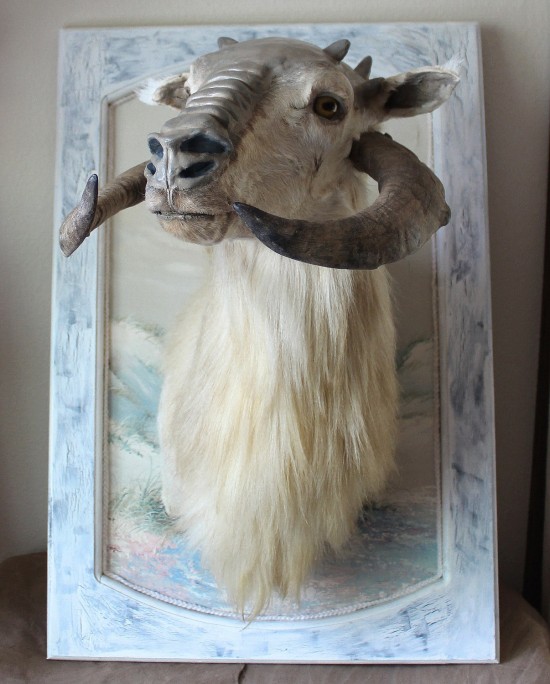 Taxidermied teacup tauntaun