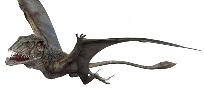 Dimorphodon