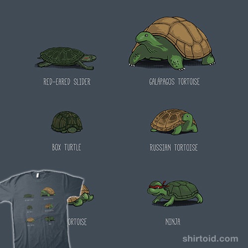 Know Your Turtles