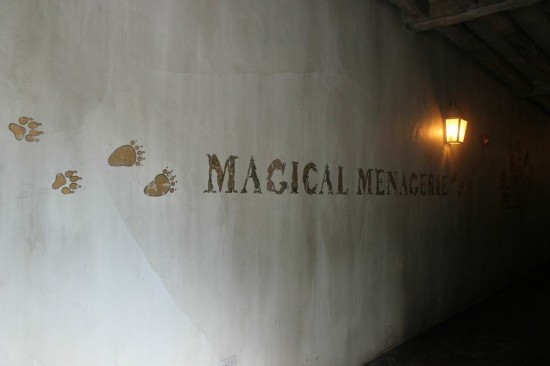 Magical Menagerie