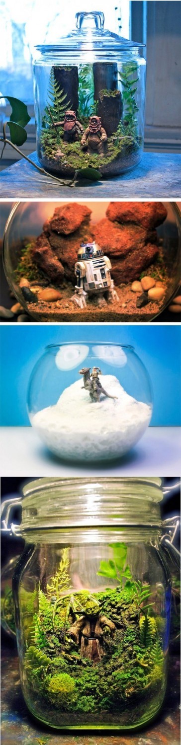 Star Wars Terrariums