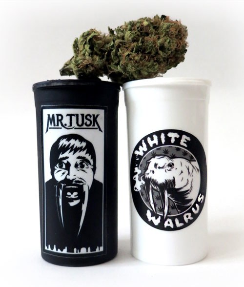 tusk weed