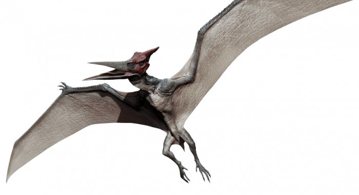 Jurassic World dinosaurs Pteranodon