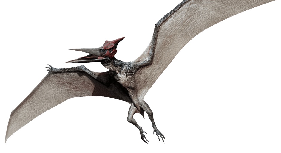 Photos: Jurassic World Dinosaurs Revealed