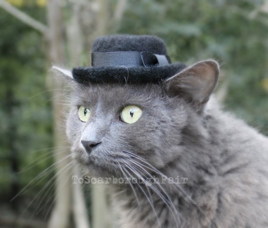 A Heisenberg Hat For Cats