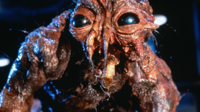 The Fly