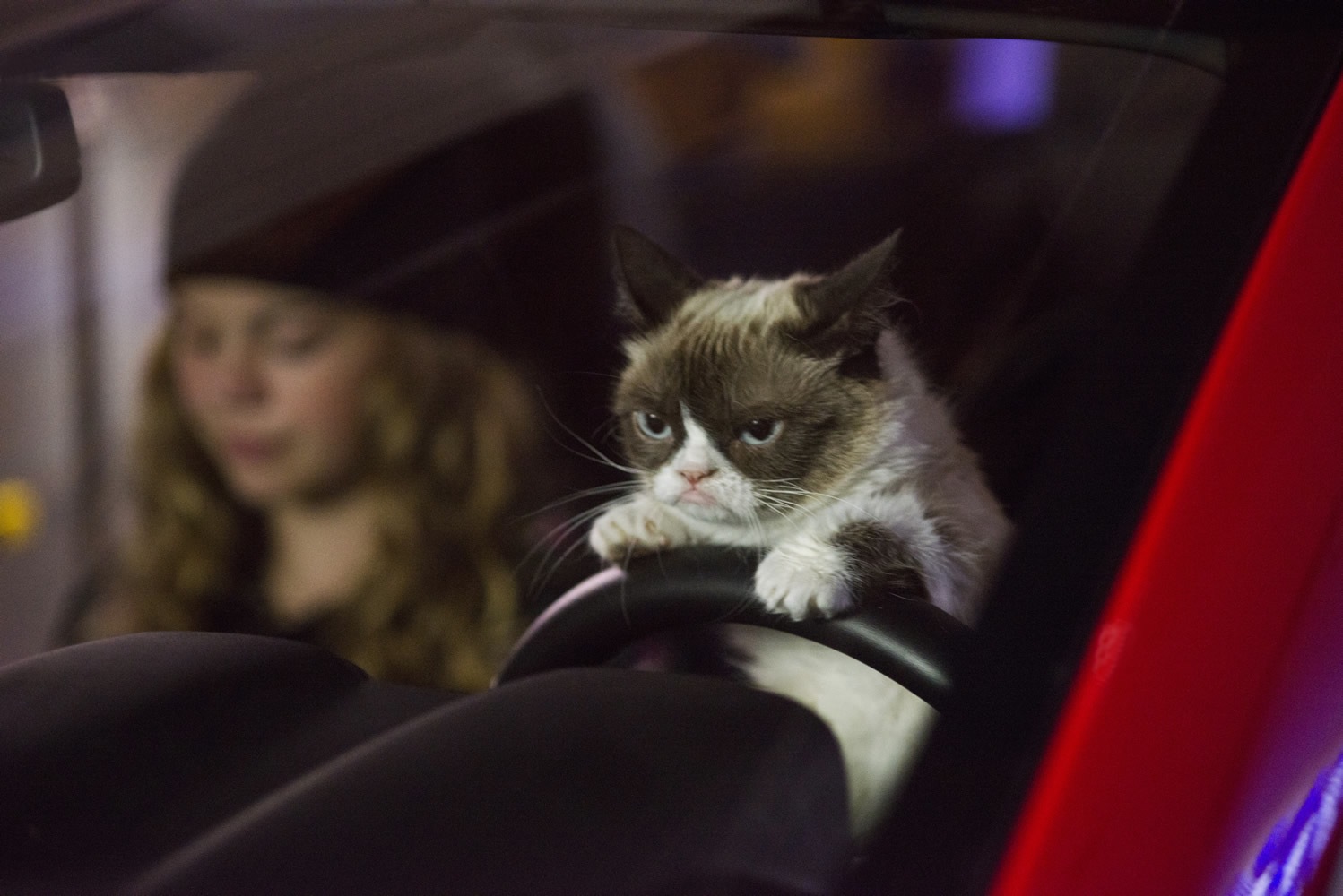 Grumpy Cat Movie Trailer: Grumpy Cat’s Worst Christmas Ever