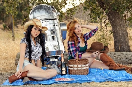 Hillbilly Picnic With R2D2