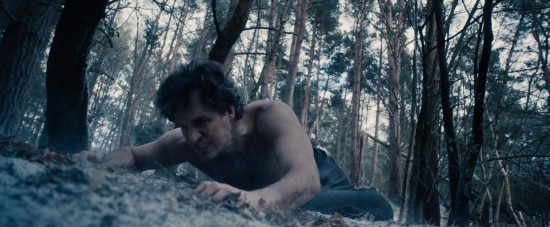 Bruce Banner falls to the ground in the forrest