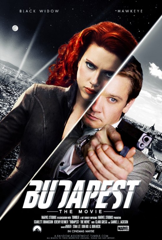 budapest fan movie poster