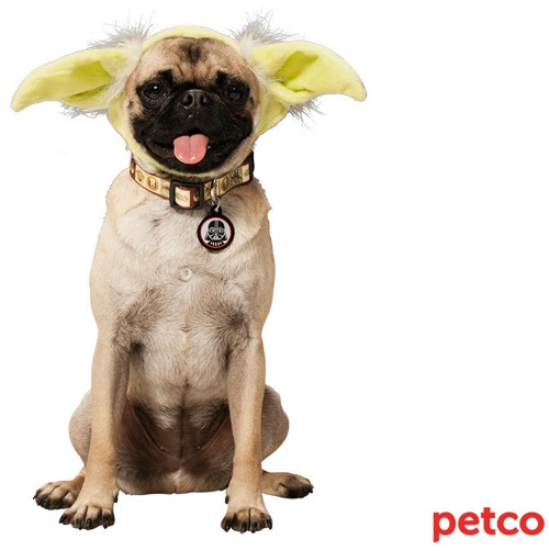 Yoda Ears for Dogs