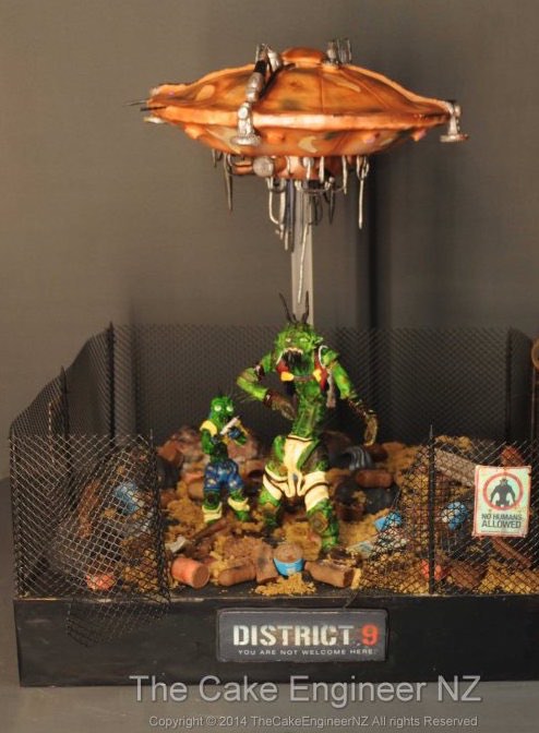 District 9 Cake