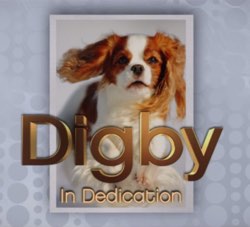 digby the dog the interview